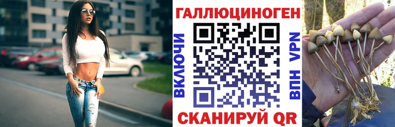 Галлюциногенные грибы Magic Shrooms  hydra tor  Могоча 